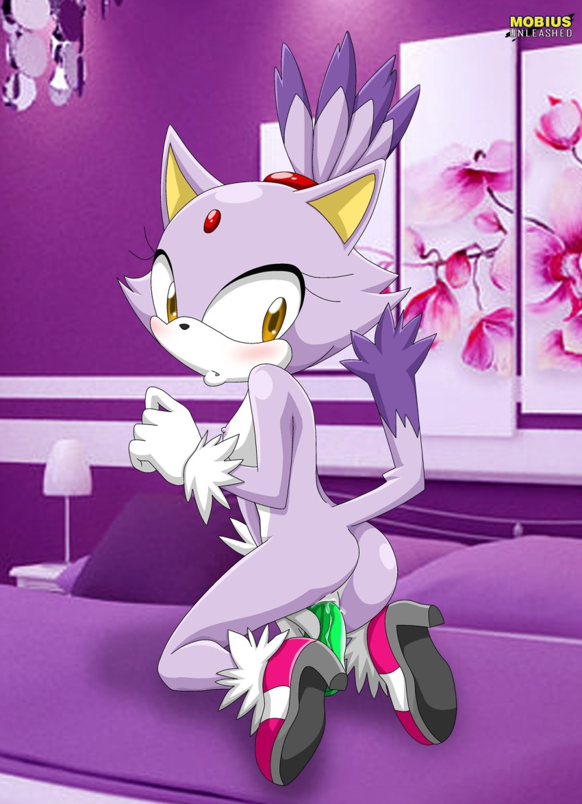 1girl ass bbmbbf bed blaze_the_cat blush breasts cat_ears cute dildo furry mobius_unleashed nipples nude palcomix pussy sega sonic_(series) sonic_the_hedgehog_(series) tail yellow_eyes