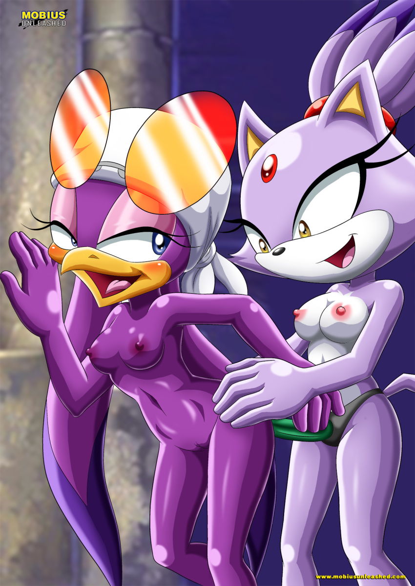 2girls bbmbbf blaze_the_cat furry mobius_unleashed multiple_girls palcomix sega sonic_(series) sonic_the_hedgehog_(series) tagme wave_the_swallow yuri