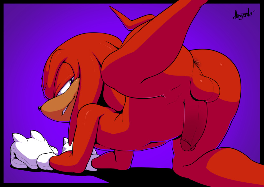 1boy anthro anus argento ass backsack echidna furry half-closed_eyes humanoid_penis knuckles_the_echidna looking_at_viewer looking_back male mammal monotreme penis perineum presenting purple_background raised_leg sega simple_background testicles yaoi