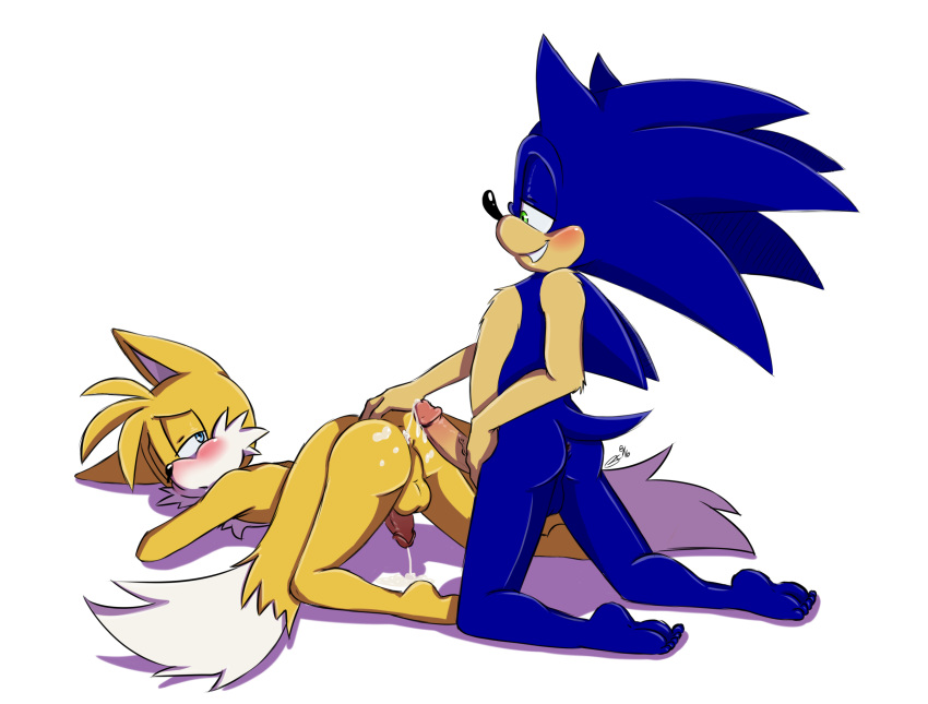 after_sex anthro anus ass bluechika blush canine cum cum_in_ass cum_inside duo fox furry hedgehog highres looking_back male male/male mammal miles_"tails"_prower penis sega simple_background testicles white_background