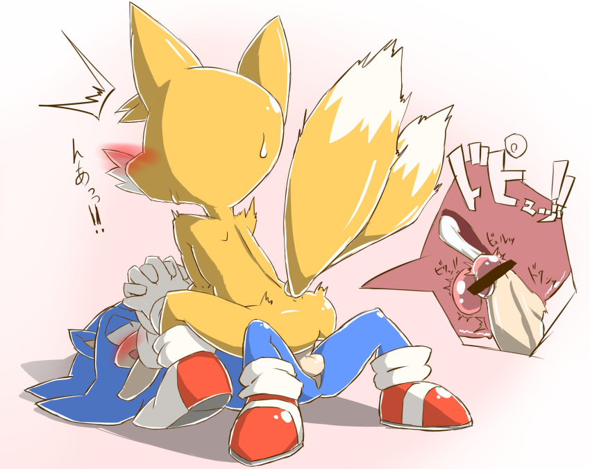 anal anal_penetration anthro canine duo fox furry giga_(artist) hand_holding hedgehog internal male male/male mammal miles_"tails"_prower penetration penis sega sonic_the_hedgehog testicles