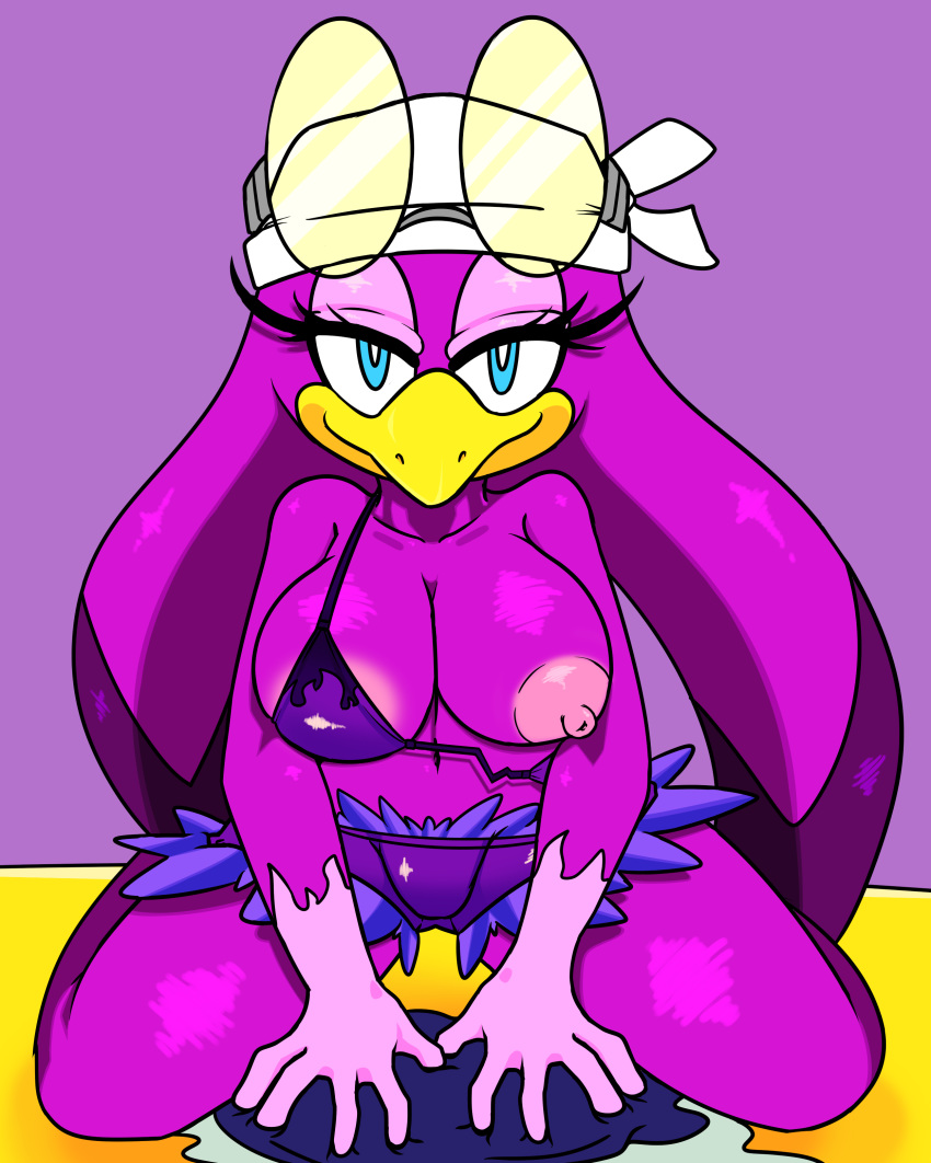 1girl 1girl anthro areola avian big_breasts bikini bird breasts cleavage clothed clothing cloudz dreamcastzx1 erect_nipples exposed furry huge_breasts looking_at_viewer nipples one_breast_out sega smile sonic_riders swallow_(bird) swimsuit wave_the_swallow