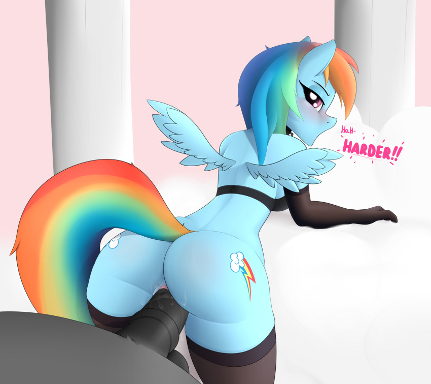 1girl anthro ass blush booponies bra breasts clothing equine friendship_is_magic furry horse legwear mammal my_little_pony penis pony pussy rainbow_dash sex stockings testicles tsundere underwear wings