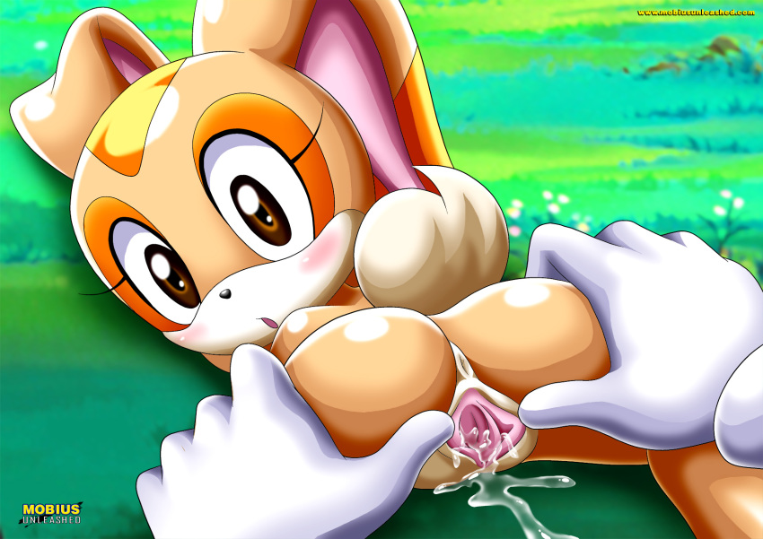 1girl ambiguous_gender anus ass bbmbbf cream_the_rabbit cum gloves looking_back mobius_unleashed palcomix presenting_hindquarters pussy pussy_juice rabbit sega sonic_(series) sonic_the_hedgehog_(series) spread_legs spread_pussy tagme