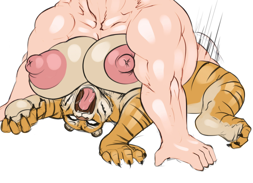 1boy 1girl anthro breasts furry human human_male_on_female_anthro tiger vaginal