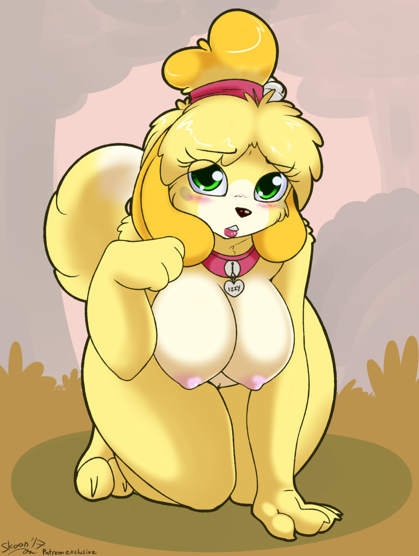 1girl 1girl 2017 absurd_res all_fours animal_crossing anthro areola big_breasts black_nose blonde_hair blush breasts canine collar dipstick_tail dog eyelashes furry green_eyes hair high_res isabelle_(animal_crossing) looking_at_viewer mammal multicolored_tail nintendo nipples pussy shih_tzu skoon video_games