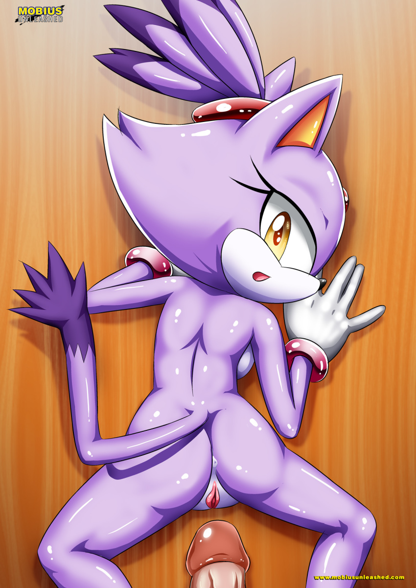 1boy 1girl anus ass bbmbbf blaze_the_cat female looking_back male mobius_unleashed nude palcomix penis pussy sega sonic_(series) sonic_the_hedgehog_(series)