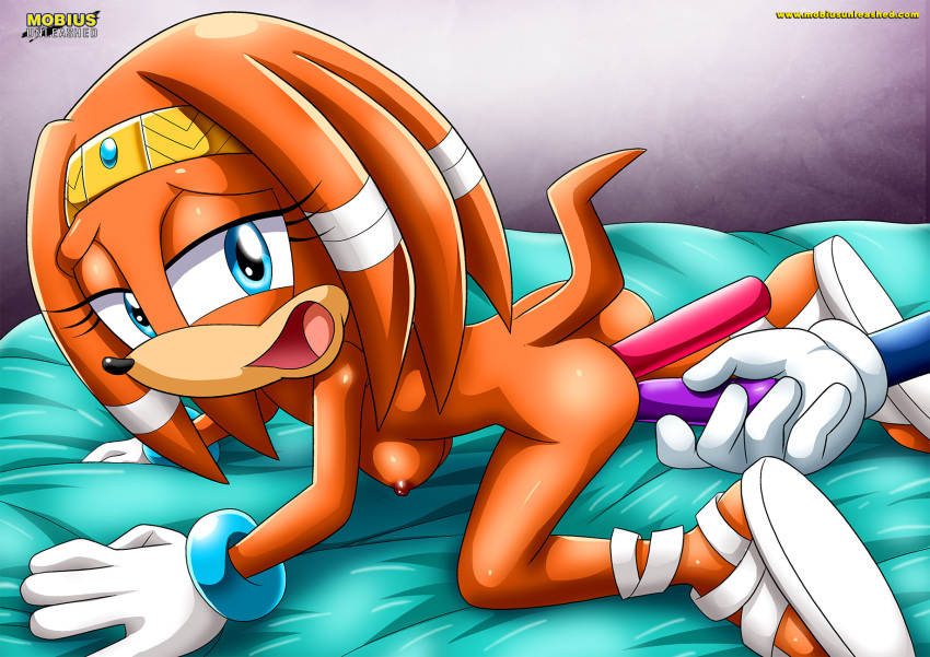 ass bbmbbf dildo mobius_unleashed palcomix pussy sega sex_toy smile sonic_(series) sonic_the_hedgehog sonic_the_hedgehog_(series) tikal_the_echidna