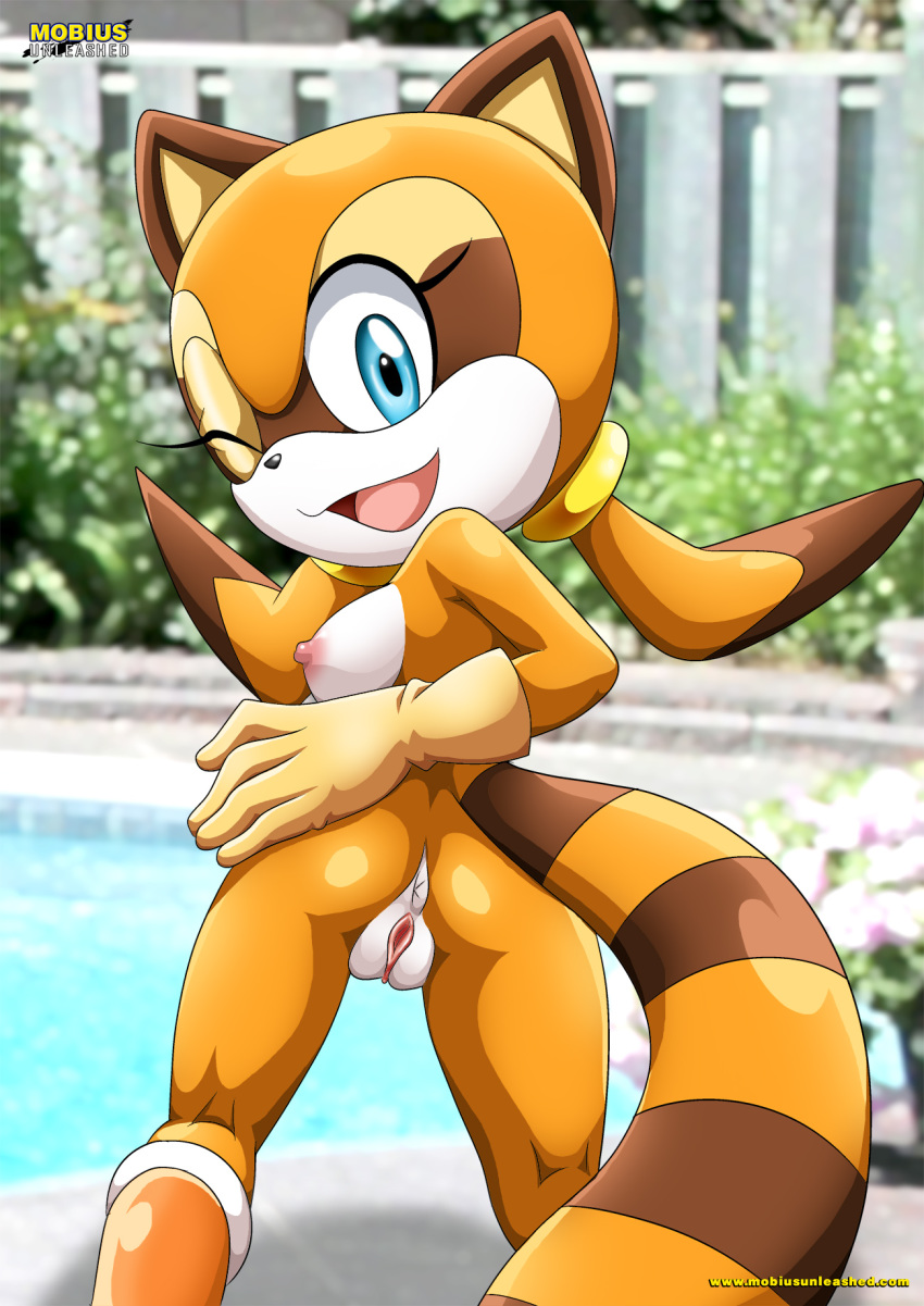 1girl ass bbmbbf marine_the_raccoon mobius_unleashed palcomix pussy sega sonic_(series) sonic_the_hedgehog_(series)