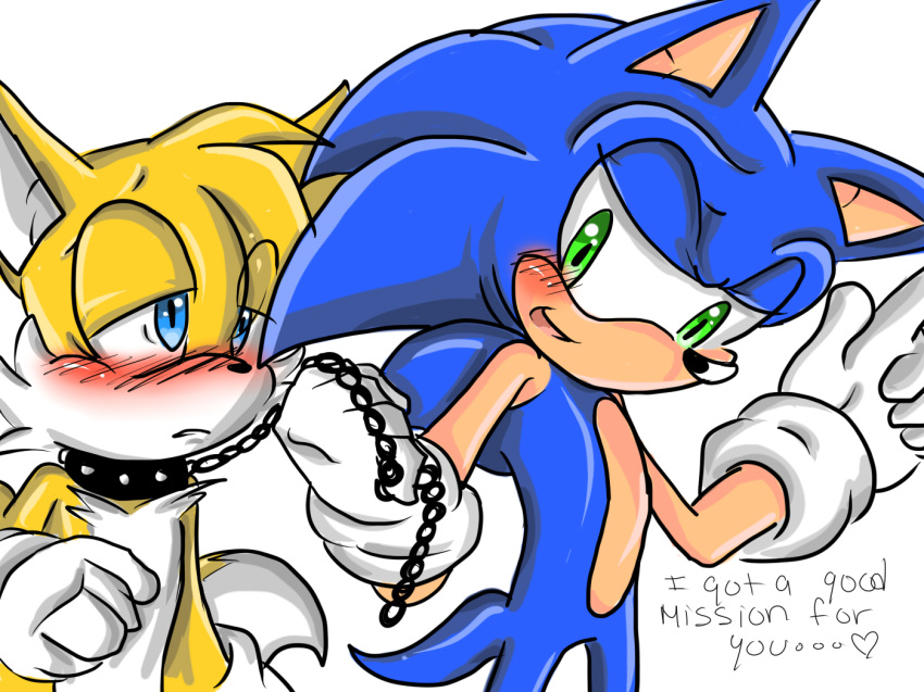 anthro blue_eyes blush clothing collar furry gloves green_eyes leash male miles_"tails"_prower patrial sega sonic_the_hedgehog