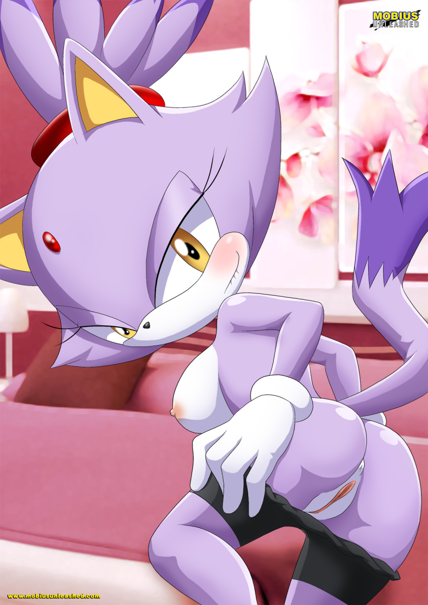 1girl anus ass bbmbbf big_breasts blaze_the_cat blush looking_at_viewer mobius_unleashed palcomix pussy sega sonic_(series) sonic_the_hedgehog_(series)
