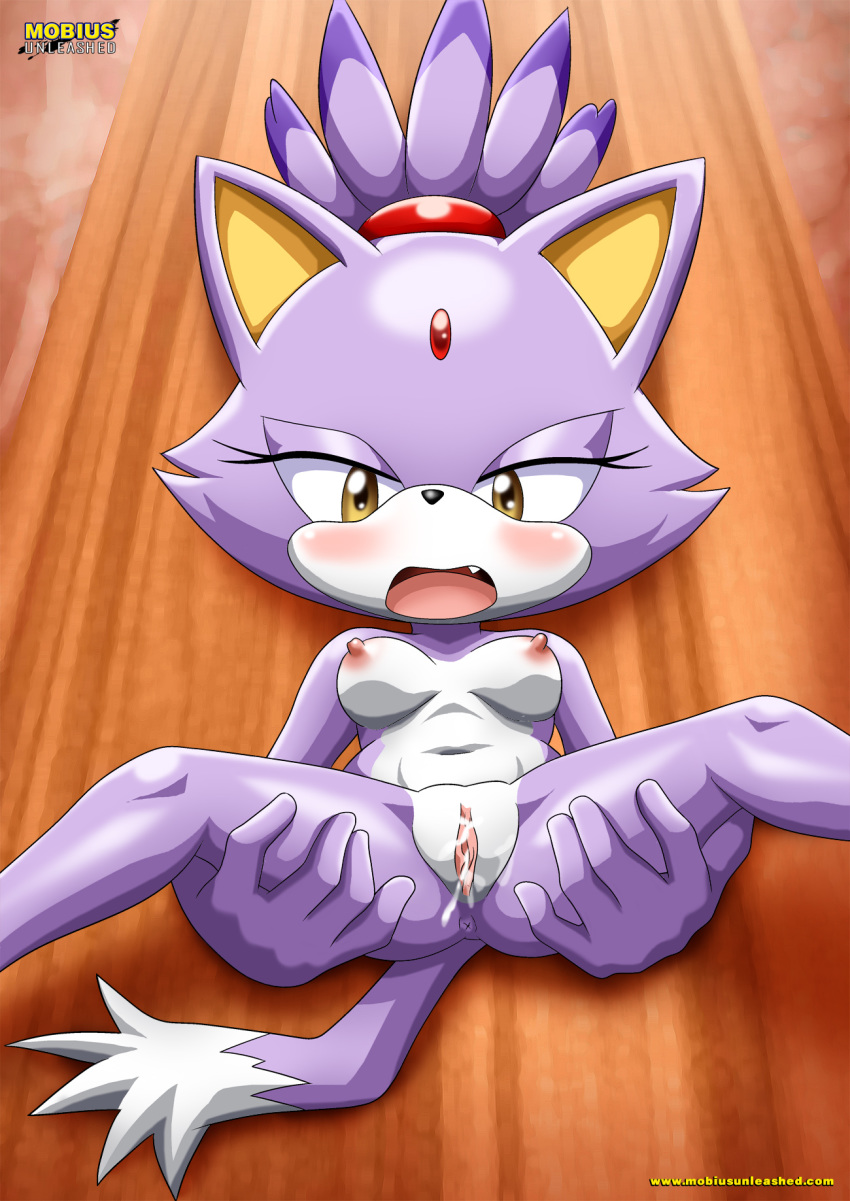 bbmbbf blaze_the_cat blush breasts erect_nipples looking_at_viewer mobius_unleashed palcomix pussy pussy_juice sega sonic_(series) sonic_the_hedgehog_(series)