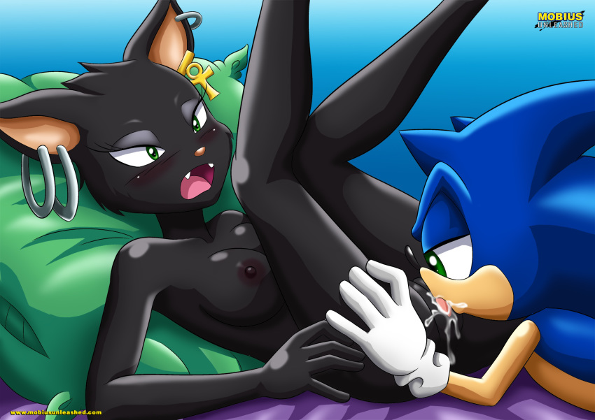 bbmbbf breasts cunnilingus ebony_the_cat fleetway mobius_unleashed palcomix pussy pussy_juice pussylicking sega sonic_(series) sonic_the_comic sonic_the_hedgehog sonic_the_hedgehog_(series)