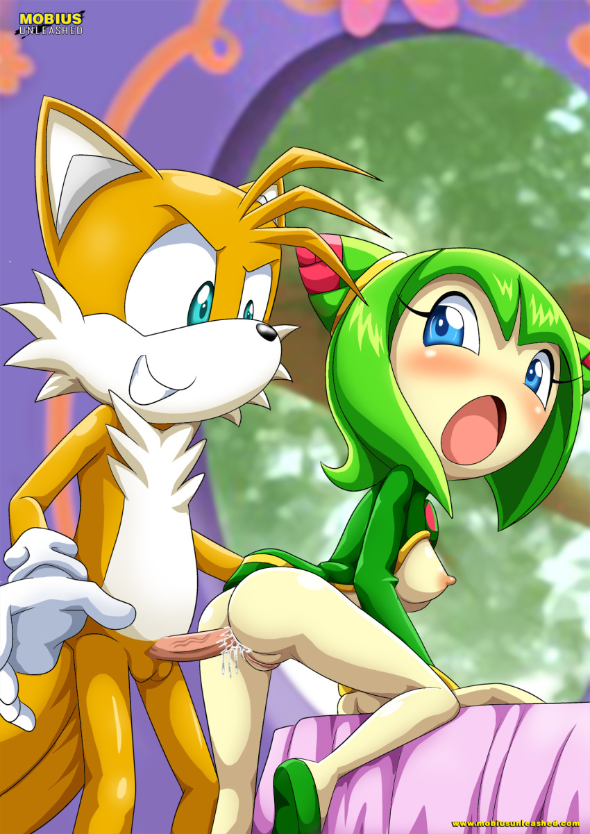 1girl 1male 2014 anal_penetration anthro anus ass bbmbbf blush cosmo_the_seedrian miles_"tails"_prower mobius_unleashed multiple_tails nude palcomix penetration penis pussy sega semen sonic_(series) sonic_the_hedgehog_(series) sonic_x tail tails tailsmo