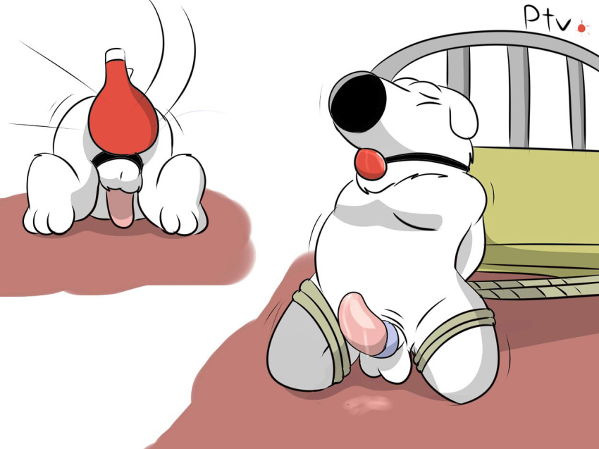 anthro brian_griffin canine dog family_guy penis