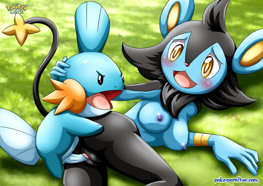 1girl anthro anthro_on_feral bbmbbf breasts female feral luxio male male/female mudkip nintendo nipples nude palcomix penetration penis pokemon pokepornlive pussy sex vaginal vaginal_penetration video_games