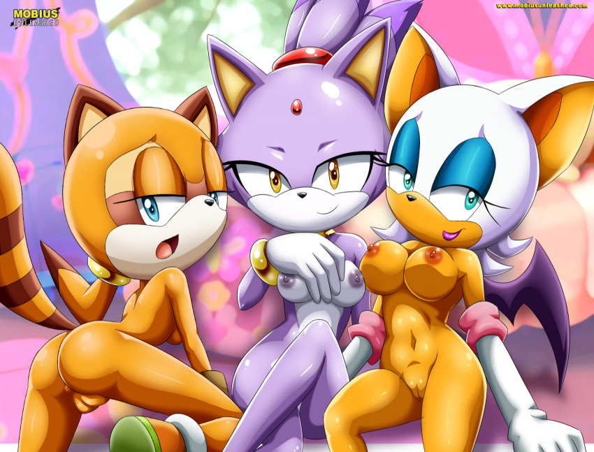 2016 3_girls anus ass bbmbbf blaze_the_cat breasts erect_nipples large_breasts looking_at_viewer marine_the_raccoon mobius_unleashed multiple_girls nude palcomix pussy rouge_the_bat sega sonic_(series) sonic_the_hedgehog_(series)