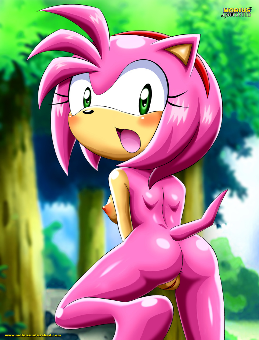 2016 amy_rose ass bbmbbf mobius_unleashed palcomix pussy sega sonic_(series) sonic_the_hedgehog_(series)
