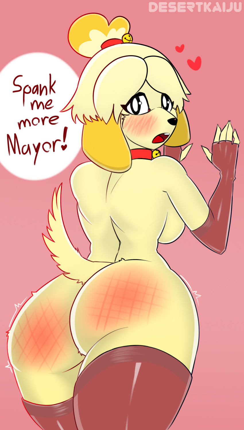 1girl 1girl 2018 animal_crossing anthro ass bell blush breasts canine clothing collar desertkaiju dialogue digital_media_(artwork) dog english_text from_behind_(disambiguation) fur furry hair high_res isabelle_(animal_crossing) legwear long_ears looking_at_viewer mammal nintendo open_mouth presenting shih_tzu simple_background spank_marks spanking stockings text video_games yellow_fur
