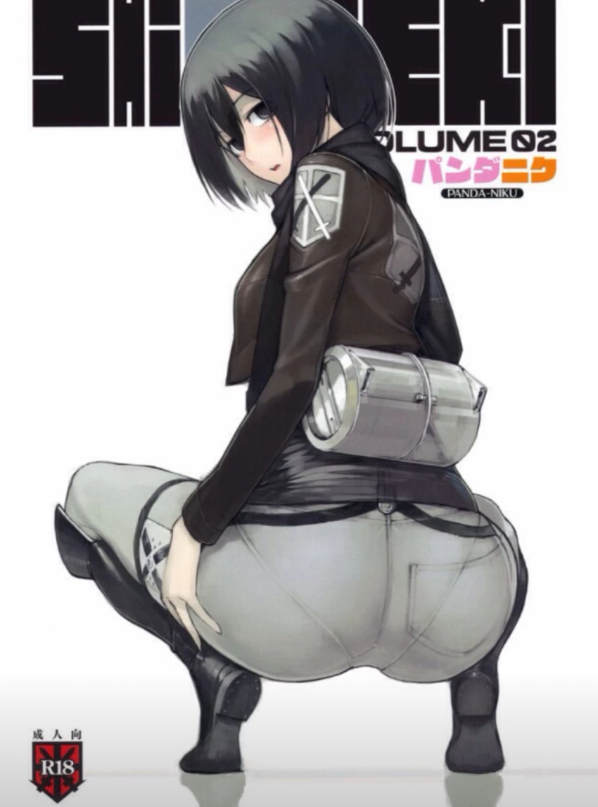 1girl ass attack_on_titan black_eyes black_hair doujin_cover doujinshi doujinshi_cover female_only looking_at_viewer looking_back mikasa_ackerman pantylines squat squatting stockings text