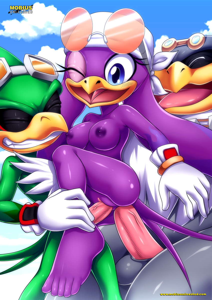 albatross anus ass barefoot bbmbbf bird breasts double_penetration full_body hawk jet_the_hawk mobius_unleashed palcomix pussy sega sonic_(series) sonic_the_hedgehog_(series) storm_the_albatross swallow threesome toes veins wave_the_swallow