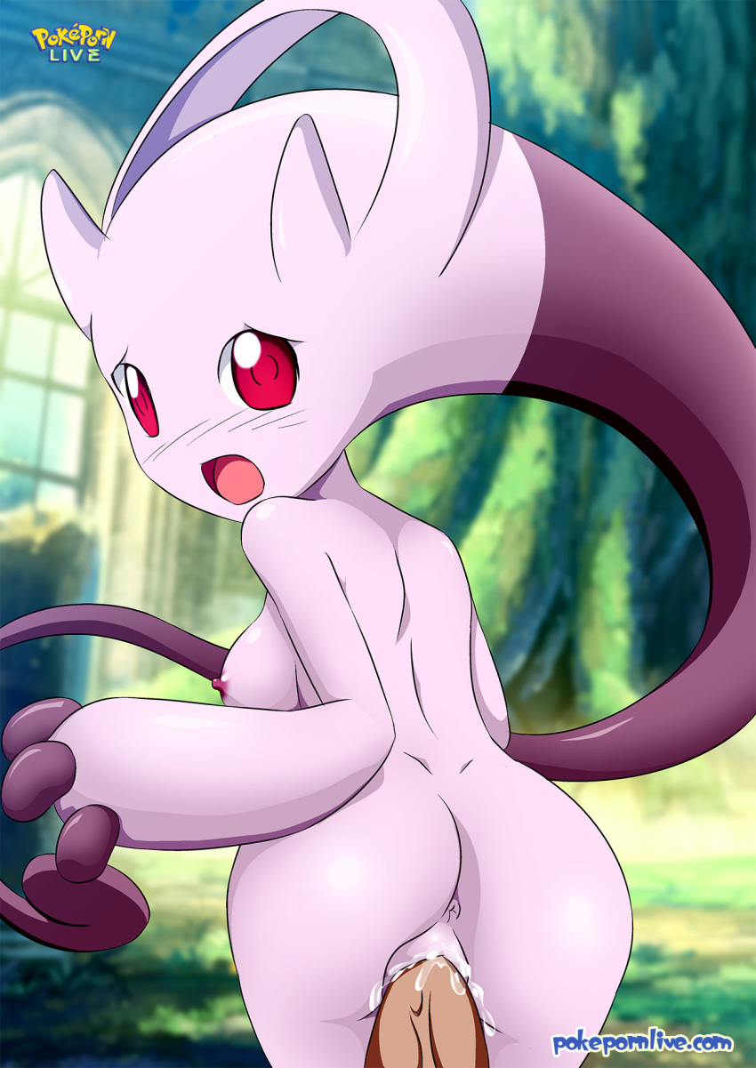 1boy 1girl anus areolae ass bbmbbf blush breast breasts creampie cum_in_pussy cum_inside erect_nipples looking_at_viewer looking_back mega_evolution mega_mewtwo mega_mewtwo_y mewtwo nintendo nipples open_mouth palcomix pokemon pokemon_xy pokepornlive red_eyes shiny shiny_skin solo_focus vaginal_penetration veins