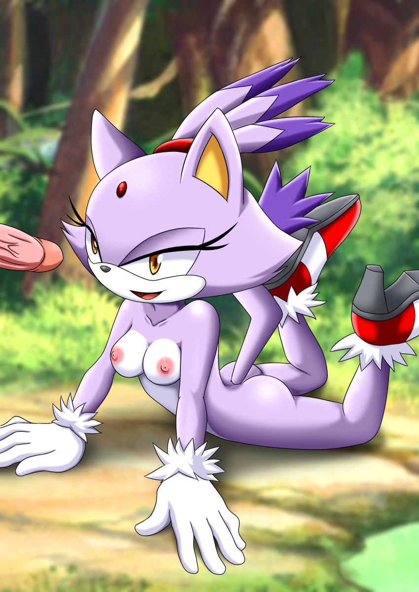 1girl ass bbmbbf blaze_the_cat cleavage forest half-closed_eyes human_male_on_female_anthro imminent_fellatio interspecies medium_breasts mobius_unleashed nipples nude open_mouth palcomix purple_fur sega sonic_(series) sonic_the_hedgehog_(series) tagme yellow_eyes