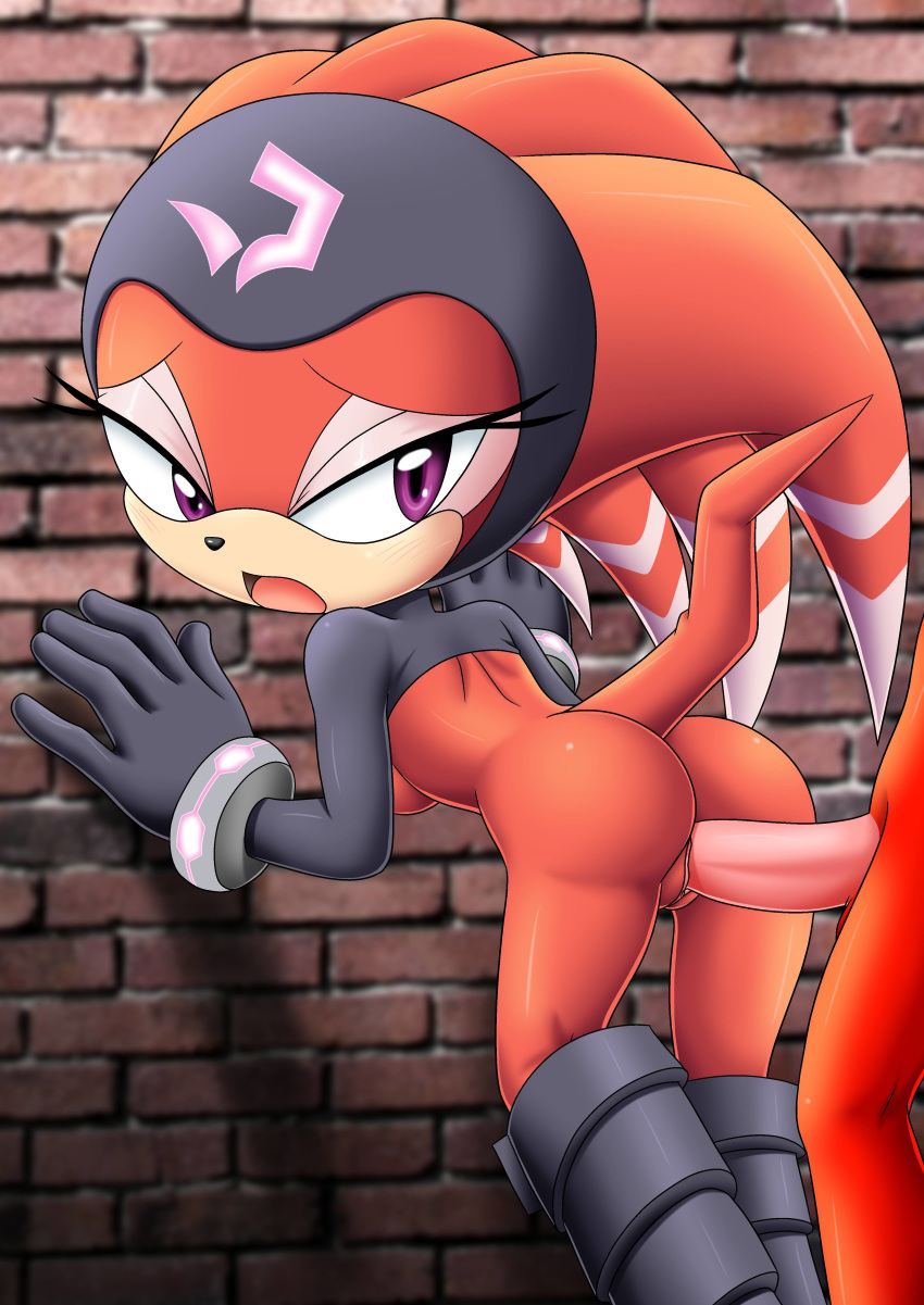 1girl ass bbmbbf knuckles_the_echidna mobius_unleashed palcomix sega shade_the_echidna sonic_(series) sonic_the_hedgehog_(series) vaginal_penetration