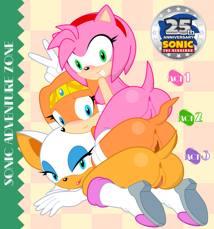 3_girls amy_rose ass multiple_girls neoeclipse nude pussy rouge_the_bat sega sonic_(series) tikal_the_echidna