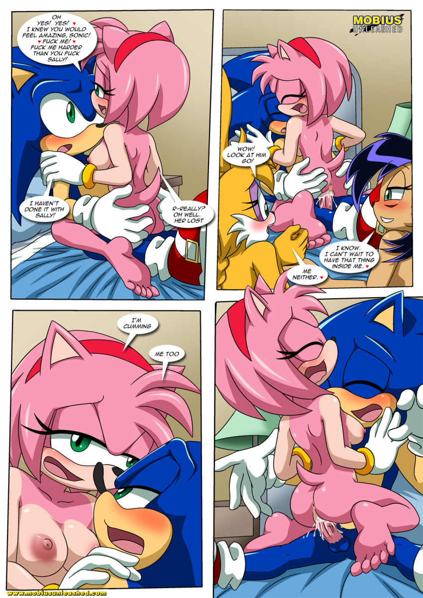 amy_rose archie_comics bbmbbf bunnie_rabbot mobius_unleashed nicole_the_lynx palcomix sega sonic_(series) sonic_and_sally_break_up sonic_the_hedgehog sonic_the_hedgehog_(series)