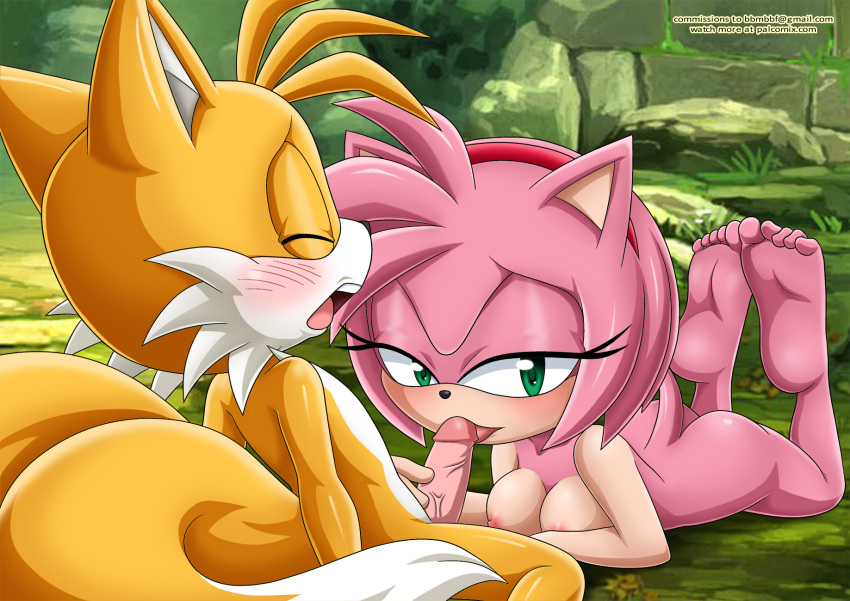 amy_rose barefoot bbmbbf big_breasts blush full_body lick licking_penis looking_at_viewer miles_"tails"_prower mobius_unleashed palcomix penis_lick pietro's_secret_club sega soles sonic_(series) sonic_the_hedgehog_(series) toes veins
