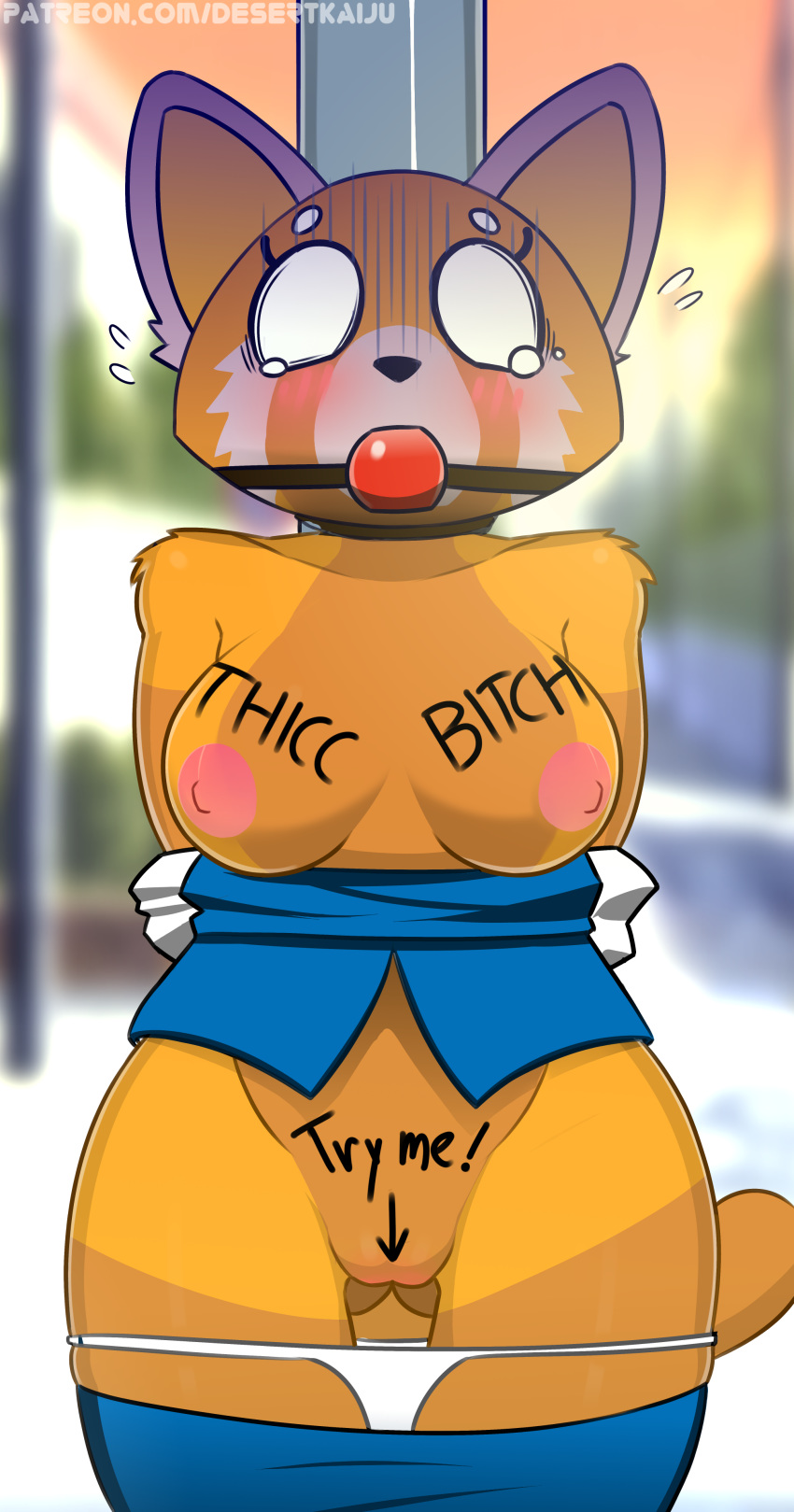 1girl 1girl 2018 aggressive_retsuko anthro ball_gag bdsm blush body_writing bondage bound breasts clothed clothing desertkaiju digital_media_(artwork) embarrassed english_text fur furry gag gagged high_res humiliation mammal nipples open_mouth outside panties public public_use pussy questionable_consent red_panda retsuko sanrio standing text underwear white_underwear