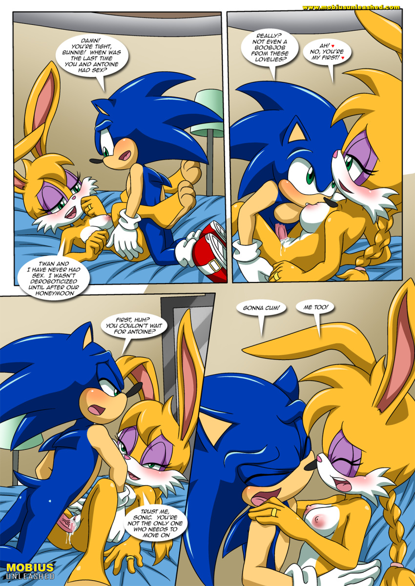 archie_comics bbmbbf bunnie_rabbot mobius_unleashed palcomix sega sonic_(series) sonic_and_sally_break_up sonic_the_hedgehog sonic_the_hedgehog_(series)