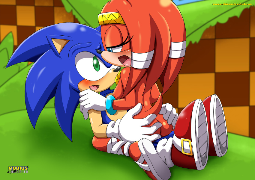 bbmbbf mobius_unleashed palcomix sega sonic_(series) sonic_the_hedgehog sonic_the_hedgehog_(series) tikal_the_echidna