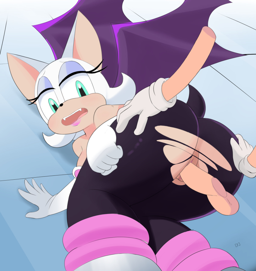 1girl 1girl anthro ass bat bat_wings boxf gloves green_eyes lipstick looking_back male membranous_wings penis pink_lipstick pussy rouge_the_bat sega sega sex stockings straight tail thick_thighs thighs torn_clothes vaginal_penetration white_gloves