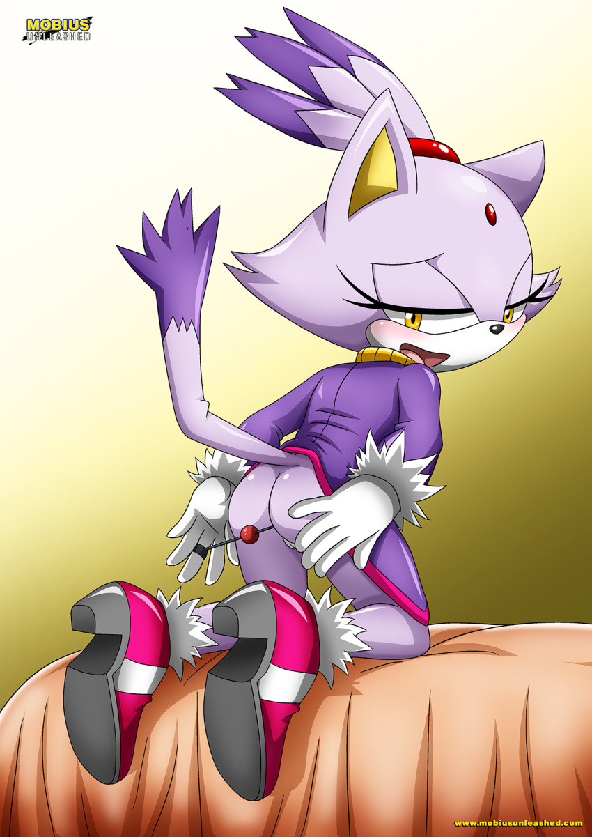 bbmbbf blaze_the_cat mobius_unleashed palcomix sega sonic_(series) sonic_the_hedgehog_(series)