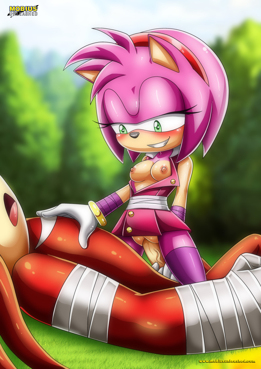 amy_rose bbmbbf blush breast cowgirl_position holding_penis knuckles_the_echidna mobius_unleashed nipples palcomix riding sega smile sonic_(series) sonic_boom sonic_the_hedgehog_(series)