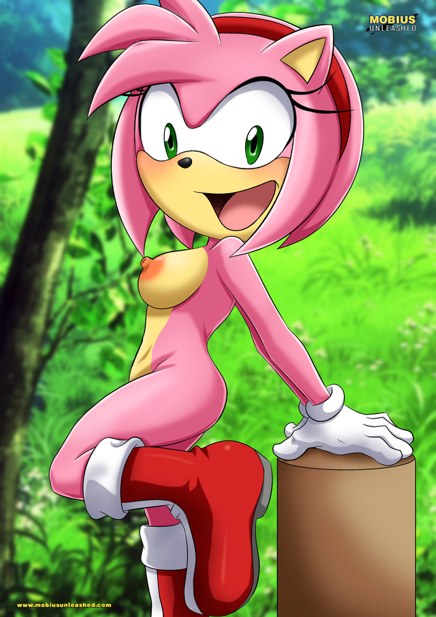 amy_rose bbmbbf blush breasts green_eyes mobius_unleashed nude palcomix pink_fur sega smile solo solo_female solo_focus sonic_(series) sonic_the_hedgehog_(series) tagme