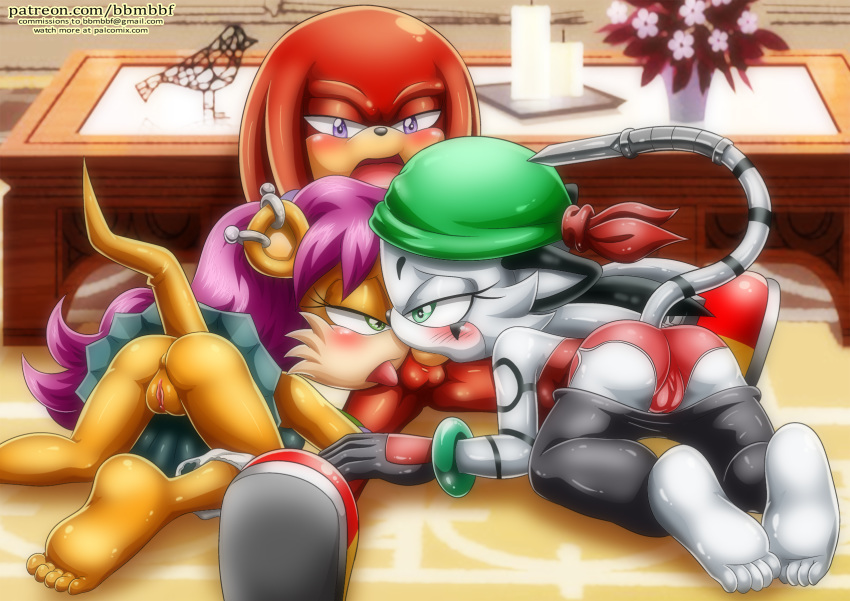 archie_comics bbmbbf blush feet fellatio full_body jian_the_tiger knuckles_the_echidna licking_balls mina_mongoose mobius_unleashed oral palcomix panties pietro's_secret_club pussy sega sonic_(series) sonic_the_hedgehog_(series) threesome