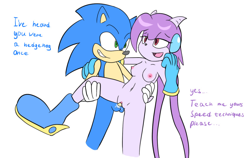 freedom_planet penis_in_pussy sash_lilac sonic_the_hedgehog tagme