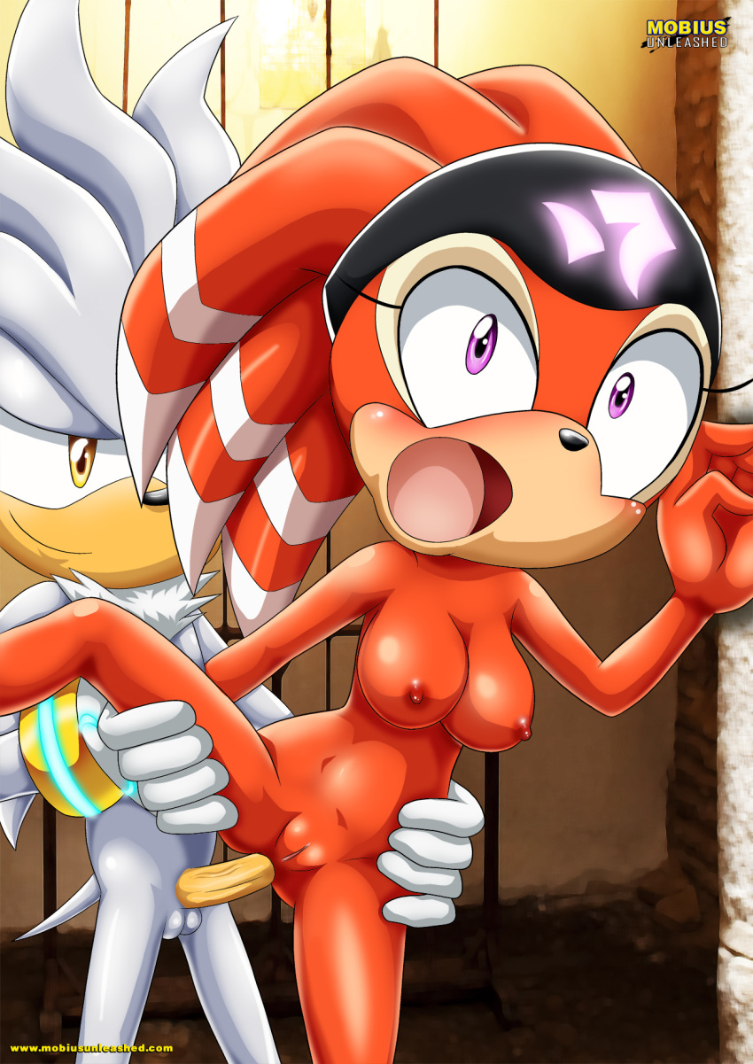 anal bbmbbf blush breast from_behind leg_lift mobius_unleashed open_mouth palcomix sega shade_the_echidna silver_the_hedgehog sonic_(series) sonic_the_hedgehog_(series)
