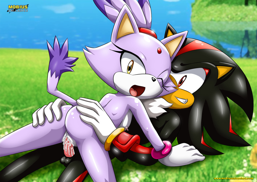 bbmbbf blaze_the_cat mobius_unleashed palcomix riding sega shadow_the_hedgehog sonic_(series) sonic_the_hedgehog_(series)