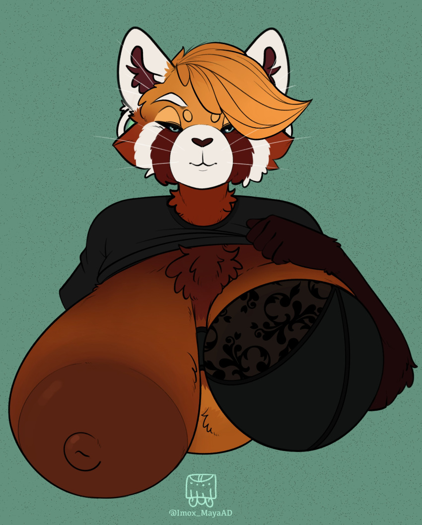 1girl absurd_res ailurid anthro big_breasts bra breasts clothed clothing clothing_lift demani eliotak furry high_res huge_breasts mammal mature_female red_panda shirt shirt_lift topwear underwear
