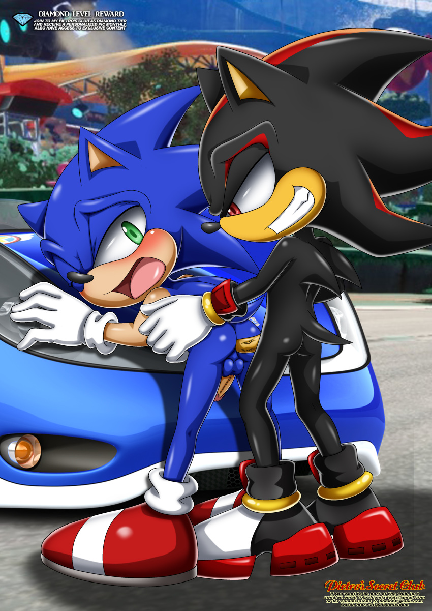 anal bbmbbf bent_over blush buttfuck doggy_position male_only mobius_unleashed palcomix pietro's_secret_club racecar sega shadow_the_hedgehog sonic_(series) sonic_racing sonic_team_racing sonic_the_hedgehog sonic_the_hedgehog_(series) yaoi