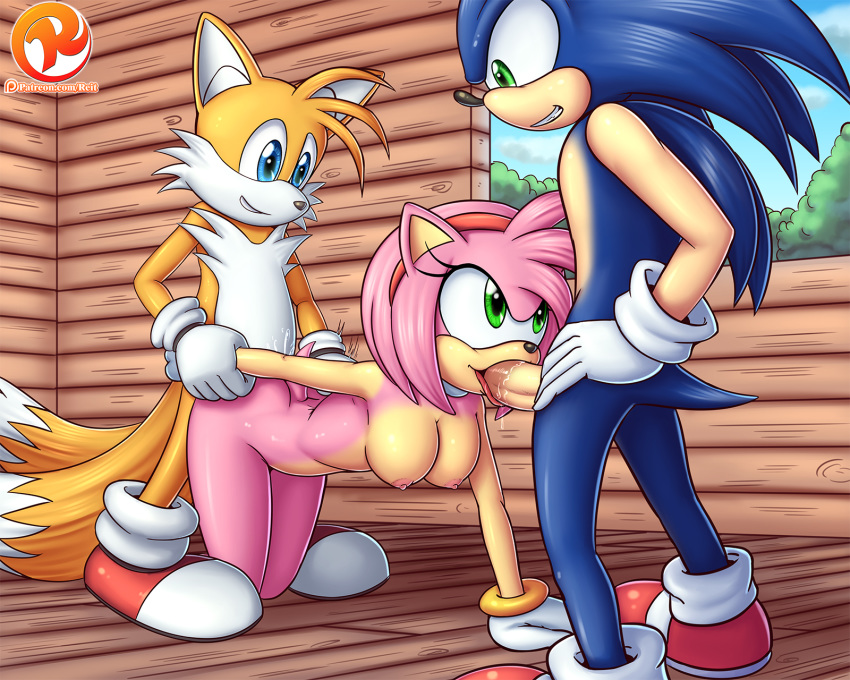 1girl all_fours amy_rose cum fellatio miles_"tails"_prower nipples nude penis reit sega sonic_(series) sonic_the_hedgehog vaginal_penetration