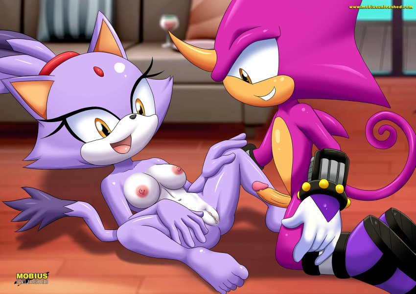 5_toes barefoot bbmbbf blaze_the_cat breasts erect_nipples erect_penis espio_the_chameleon feet mobius_unleashed palcomix sega sonic_(series) sonic_the_hedgehog_(series) spread_legs toes