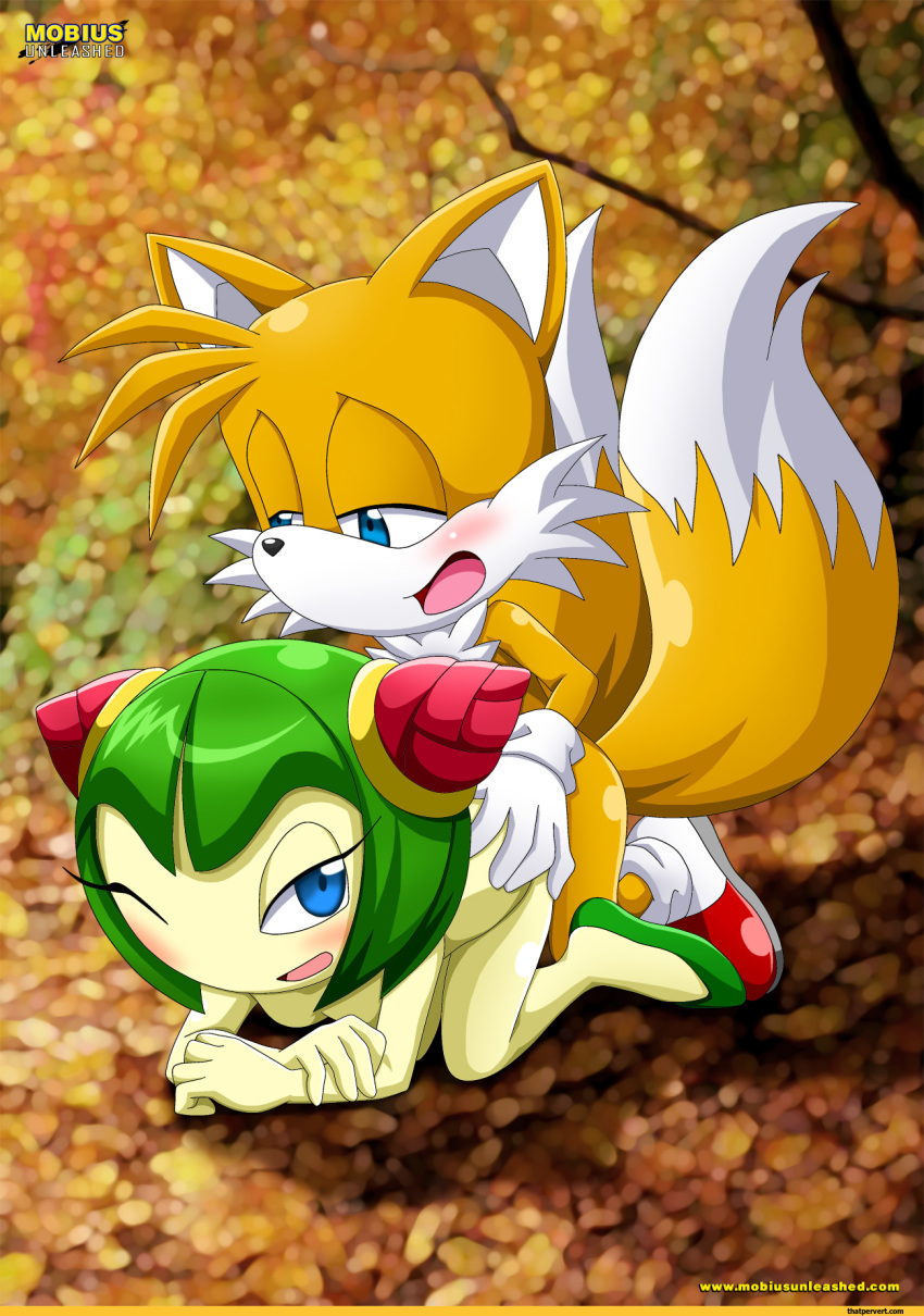 bbmbbf cosmo_the_seedrian miles_"tails"_prower mobius_unleashed multiple_tails palcomix sega sonic_(series) sonic_the_hedgehog_(series) sonic_x tagme tails