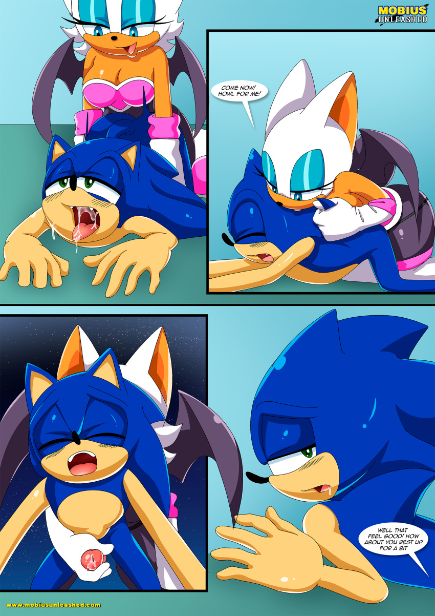 bbmbbf comic furry furry_only mobius_unleashed palcomix pet's_night rouge_the_bat sega sonic_the_hedgehog sonic_the_hedgehog_(series) teen young_adult