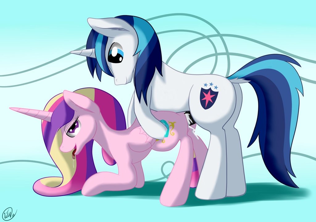 ...male_unicorn my_little_pony open_mouth penis_in_pussy pony princess_cada...