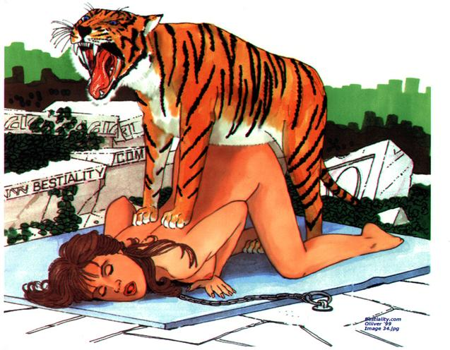 beastiality feline female feral hetero human interspecies male sex tiger.